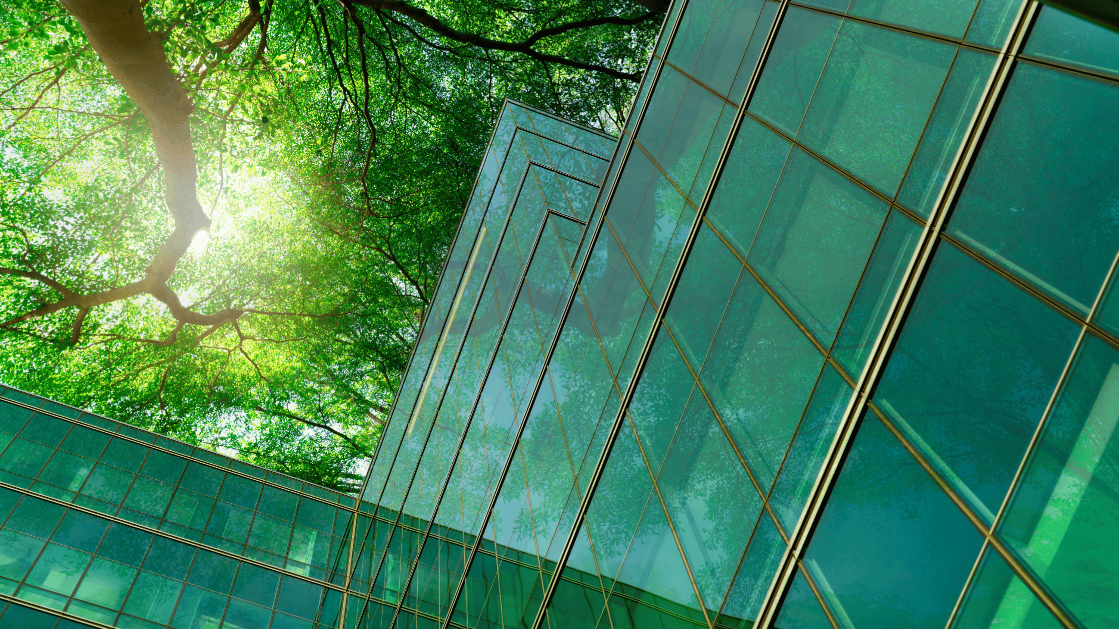 Edifício com cobertura de vidro verde, mostrando integração com árvores e luz solar.